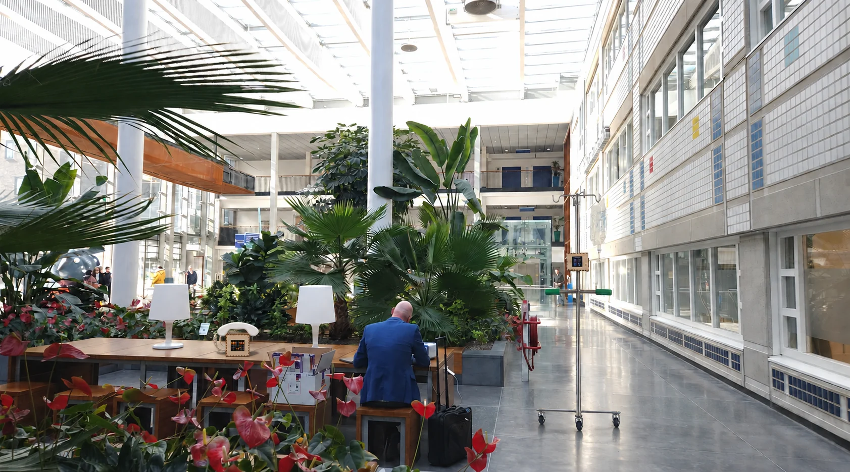 Concept visualization of the Whispering Garden in the hospital atrium